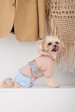 Одяг Одяг Дощовик Pet Fashion Tina для дівчаток розмір XL бежевий/блакитний