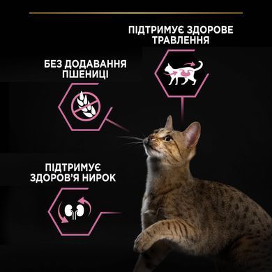 Сухий корм PRO PLAN Sterilised Adult 1+ Delicate Digestion для дорослих стерилізованих котів з чутливим травленням, з куркою, 10 кг