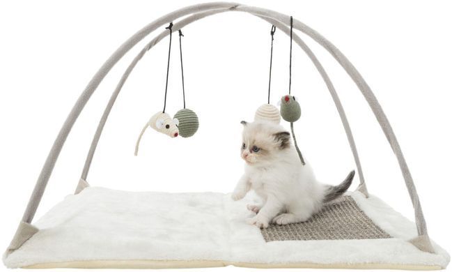 Іграшки для котів Килимок Trixie для котів гральний з дряпкою, 60х33х42 см (текстиль)