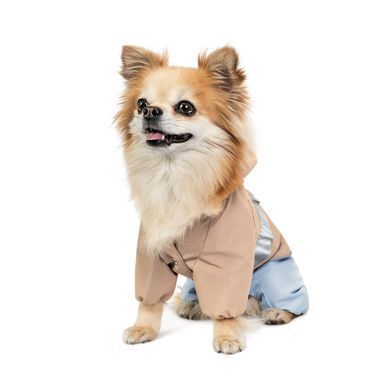 Одяг Одяг Дощовик Pet Fashion Tina для дівчаток розмір XS бежевий/блакитний
