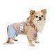 Одяг Одяг Дощовик Pet Fashion Tina для дівчаток розмір XS бежевий/блакитний