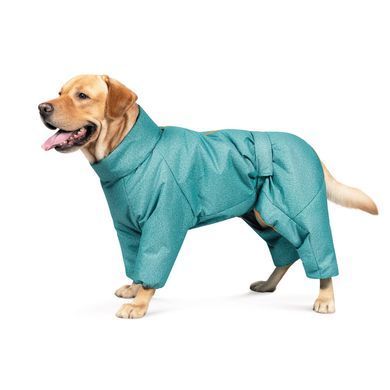 Одяг Одяг Комбінезон Pet Fashion &laquo;Cold&raquo; для собак, розмір 6XL, бірюза