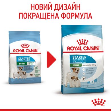 ROYAL CANIN MINI STARTER 1 кг