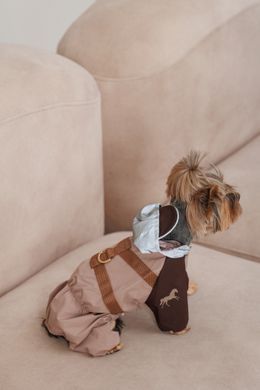 Одяг Одяг Дощовик Pet Fashion Mustang для собак розмір M2