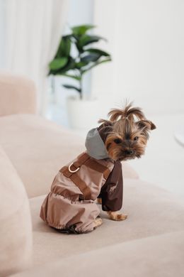 Одяг Одяг Дощовик Pet Fashion Mustang для собак розмір M2
