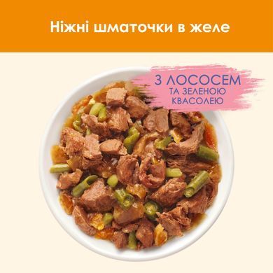 Вологий корм CAT CHOW Adult для дорослих котів, шматочки в желе, з лосось та зеленою квасолею, 10x85 г