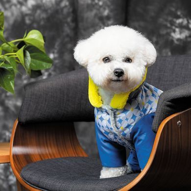 Одяг Одяг Костюм Pet Fashion Tender для дівчаток, розмір S, синій