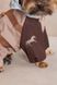 Одяг Одяг Дощовик Pet Fashion Mustang для собак розмір M2