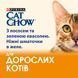 Вологий корм CAT CHOW Adult для дорослих котів, шматочки в желе, з лосось та зеленою квасолею, 10x85 г
