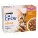 Вологий корм CAT CHOW Adult для дорослих котів, шматочки в желе, з лосось та зеленою квасолею, 10x85 г