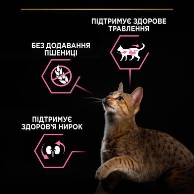 Сухий корм PRO PLAN Adult 1+ Delicate Digestion для дорослих котів з чутливим травленням та вибагливих до їжі, з ягням, 3 кг