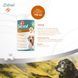 Вітаміни 8in1 Excel Glucosamine + MSM для цуценят та дорослих собак, для суглобів, 55 шт