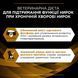 Лікувальні дієти для собак Вологий дієтичний корм PRO PLAN VETERINARY DIETS NF Renal Function для дорослих собак для підтримання функції нирок при хронічній хворобі нирок, мус, 195 г