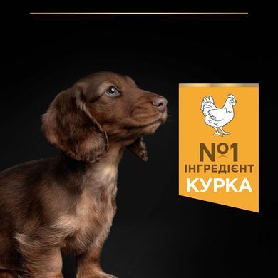Сухий корм PRO PLAN Small & Mini Puppy Healthy Start для цуценят дрібних порід до року, з куркою, 700 г