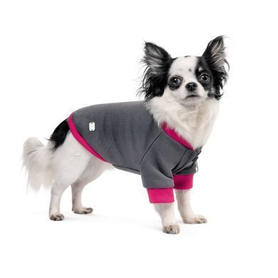 Одяг Одяг Толстовка Pet Fashion &laquo;Bim&raquo; для собак, розмір М, сіра