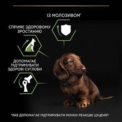 Сухий корм PRO PLAN Small & Mini Puppy Healthy Start для цуценят дрібних порід до року, з куркою, 700 г