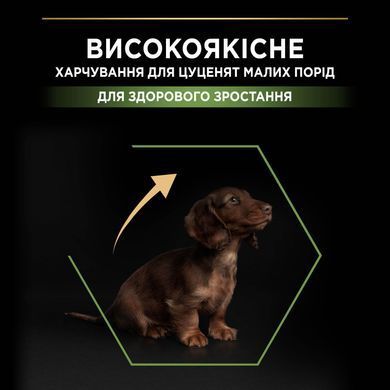 Сухий корм PRO PLAN Small & Mini Puppy Healthy Start для цуценят дрібних порід до року, з куркою, 700 г