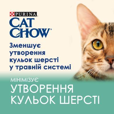 Вологий корм CAT CHOW Hairball для дорослих котів для зменшення утворення кульок шерсті у травному тракті, шматочки у підливці, з куркою та зеленою квасолею, 85 г
