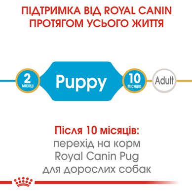 ROYAL CANIN PUG PUPPY 1.5 кг