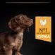 Сухий корм PRO PLAN Small & Mini Puppy Healthy Start для цуценят дрібних порід до року, з куркою, 700 г