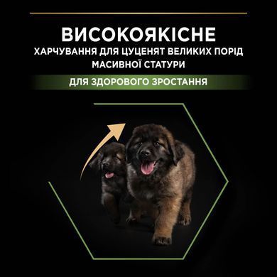 Сухий корм PRO PLAN Large Robust Puppy Healthy Start для цуценят великих порід масивної статури до 2 років, з куркою, 12 кг