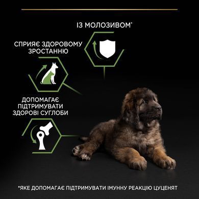 Сухий корм PRO PLAN Large Robust Puppy Healthy Start для цуценят великих порід масивної статури до 2 років, з куркою, 12 кг