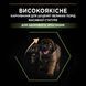 Сухий корм PRO PLAN Large Robust Puppy Healthy Start для цуценят великих порід масивної статури до 2 років, з куркою, 12 кг