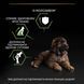 Сухий корм PRO PLAN Large Robust Puppy Healthy Start для цуценят великих порід масивної статури до 2 років, з куркою, 12 кг