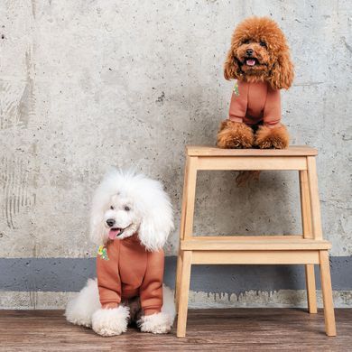 Одяг Одяг Толстовка Pet Fashion Miley для собак розмір S