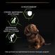 Сухий корм PRO PLAN Small & Mini Puppy Healthy Start для цуценят дрібних порід до року, з куркою, 3 кг