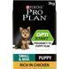 Сухий корм PRO PLAN Small & Mini Puppy Healthy Start для цуценят дрібних порід до року, з куркою, 3 кг