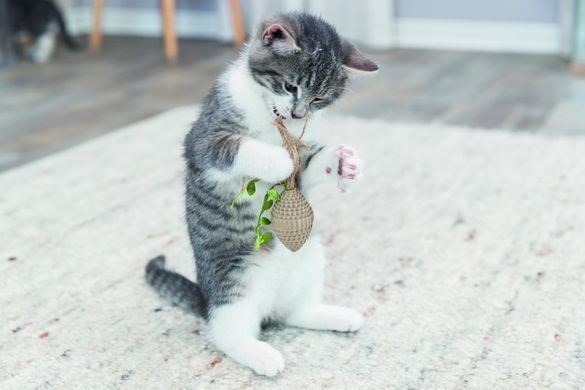 Іграшка Trixie Конус картонний для котів 13 см