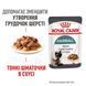 Вологий корм для дорослих котів ROYAL CANIN HAIRBALL CARE 85 г