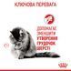 Вологий корм для дорослих котів ROYAL CANIN HAIRBALL CARE 85 г