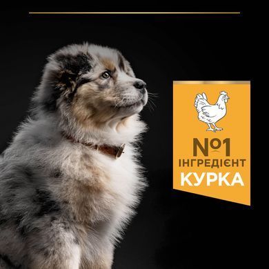 Сухий корм PRO PLAN Medium Puppy Healthy Start для цуценят середніх порід до року, з куркою, 3 кг