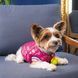 Одяг Одяг Бомбер Pet Fashion &laquo;Grace&raquo; для собак, розмір XS, рожевий