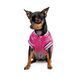 Одяг Одяг Бомбер Pet Fashion &laquo;Grace&raquo; для собак, розмір XS, рожевий