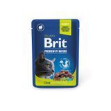 Вологий корм Brit Premium Cat pouch для стерилізованих котів, ягнятина, 100 г