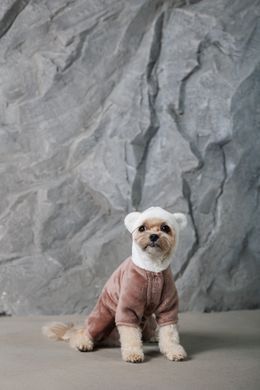 Одяг Одяг Костюм Pet Fashion ALF для собак розмір S бежевий