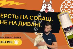 Линька затягнулась і не завершується?