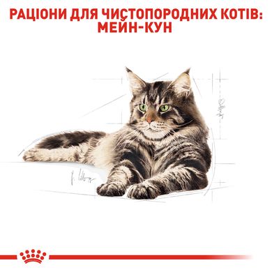 ROYAL CANIN MAINECOON ADULT 85 г x 12 шт.