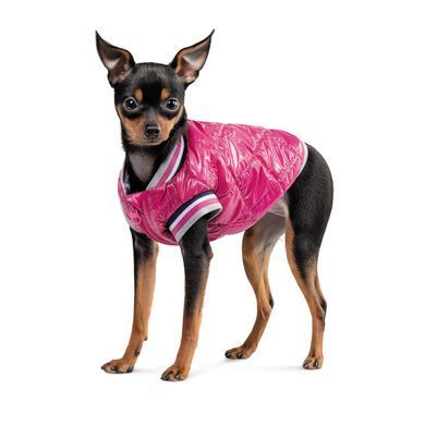Одяг Одяг Бомбер Pet Fashion &laquo;Grace&raquo; для собак, розмір XS2, рожевий