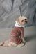 Одяг Одяг Костюм Pet Fashion ALF для собак розмір S бежевий
