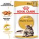 ROYAL CANIN MAINECOON ADULT 85 г x 12 шт.