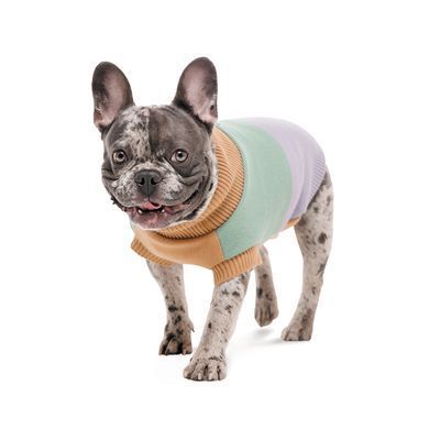 Одяг Одяг Светр в'язаний Pet Fashion Rich для собак M3