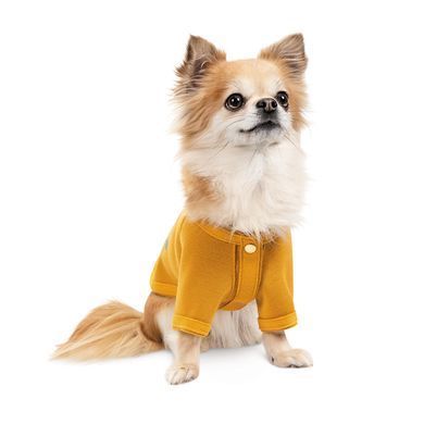 Одяг Одяг Кардиган Pet Fashion Denis для собак розмір S жовтий