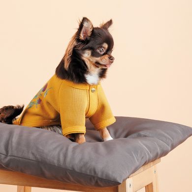 Одяг Одяг Кардиган Pet Fashion Denis для собак розмір S жовтий