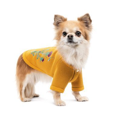 Одяг Одяг Кардиган Pet Fashion Denis для собак розмір S жовтий