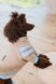 Одяг Одяг Худі Pet Fashion Home для дівчаток розмір М