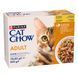 Вологий корм CAT CHOW Adult для дорослих котів, шматочки в желе, з куркою та цукіні, 10x85 г